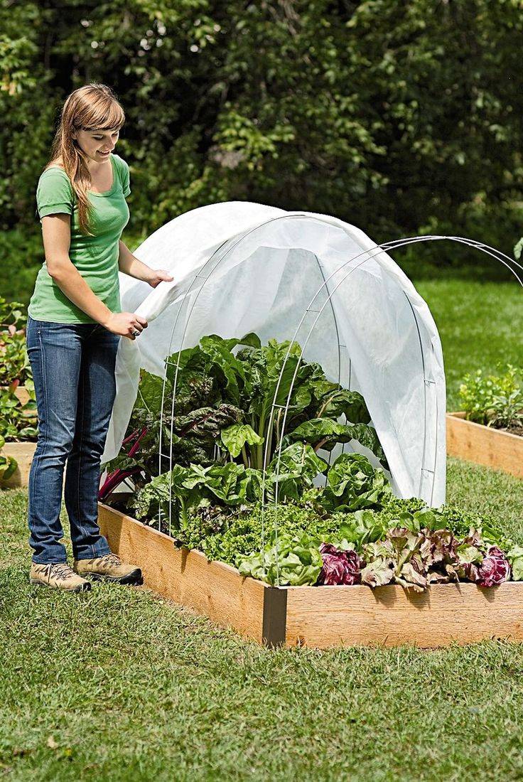 Affordable Diy Design Ideas