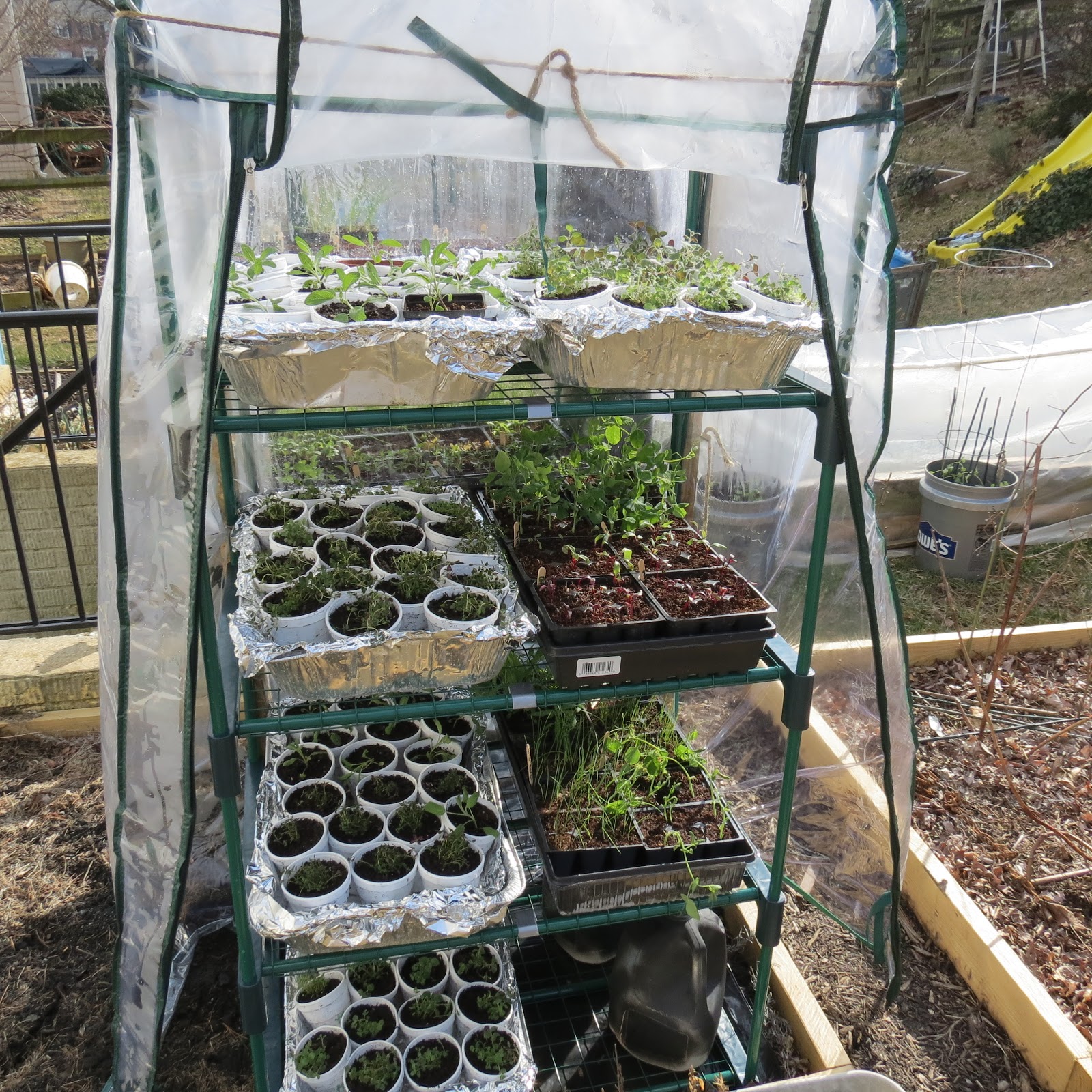 A Vegetable Garden Garden Layout