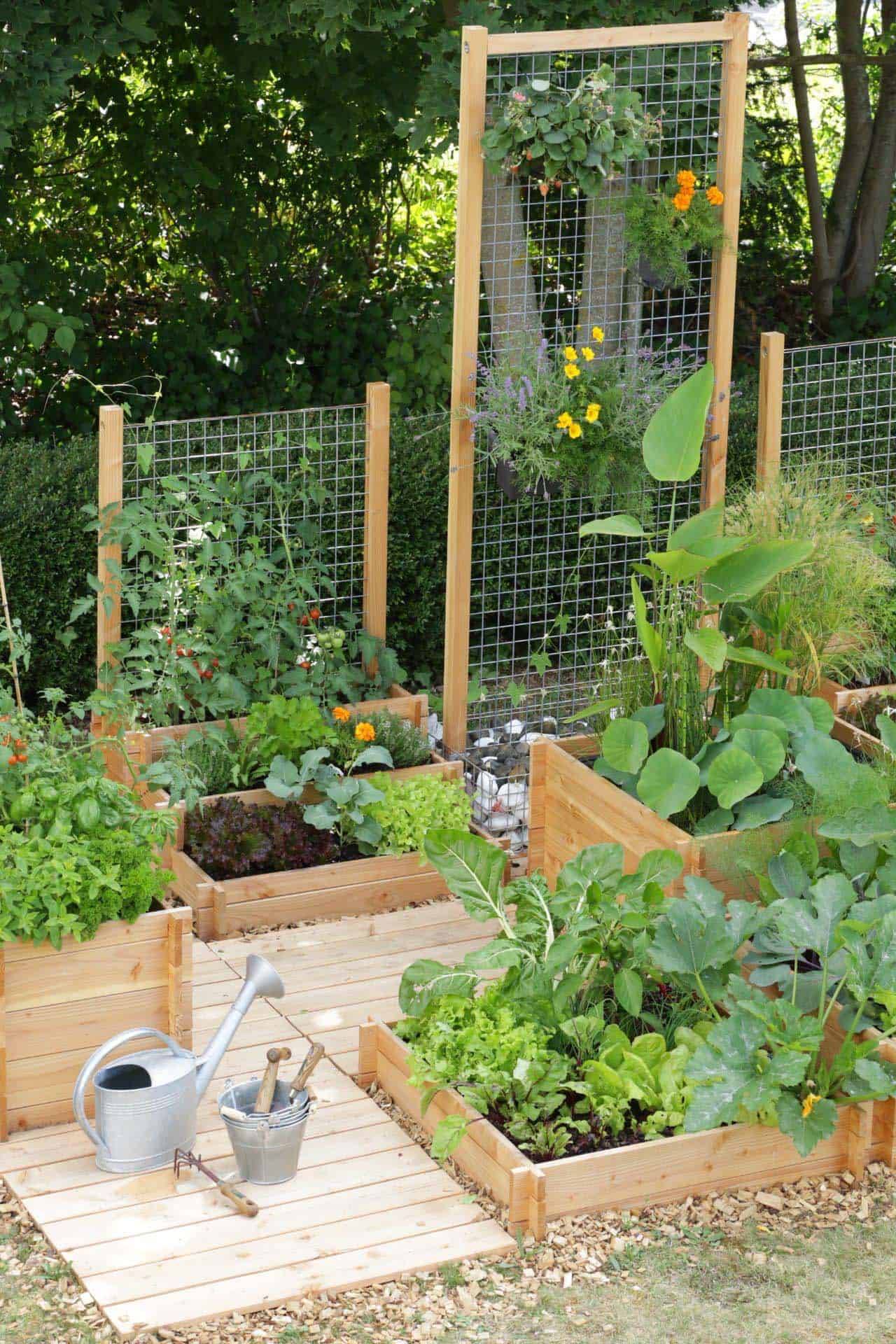 Affordable Backyard Vegetable Garden Designs Ideas Roundecor