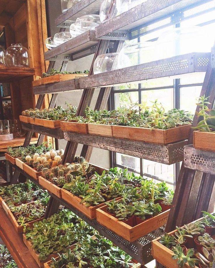 An Inexpensive Grow Room
