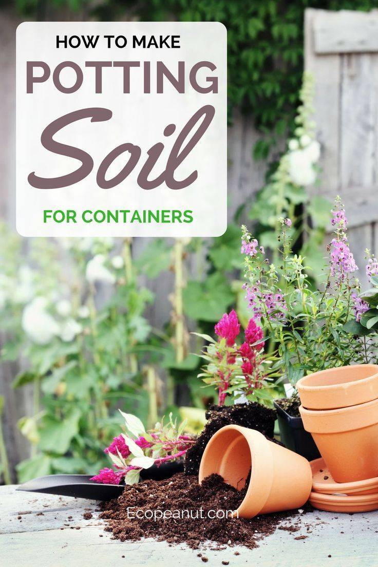 The Worlds Best Homemade Organic Fertilizers