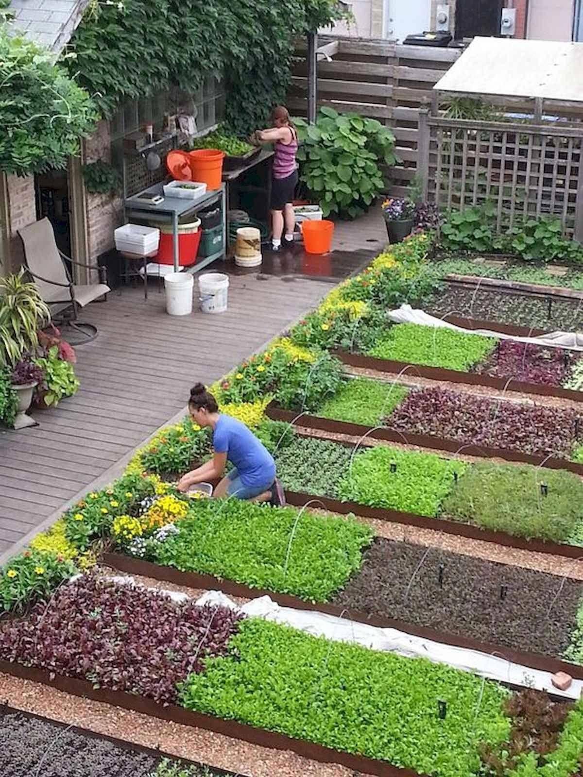 A Vegetable Garden Home And Gardening Ideas