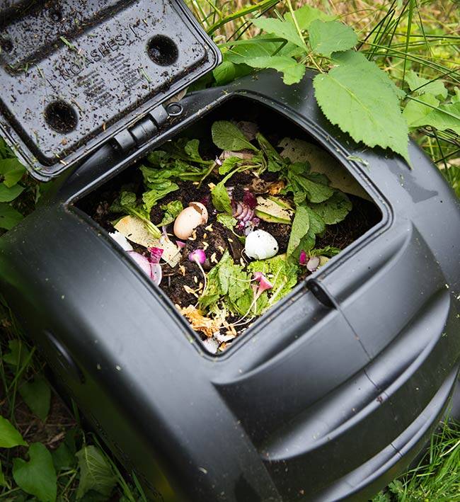 Container Vegetable Garden Tips