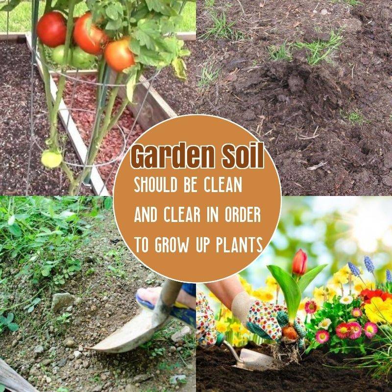 20 Vegetable Garden Fertilizer Ideas To Consider SharonSable