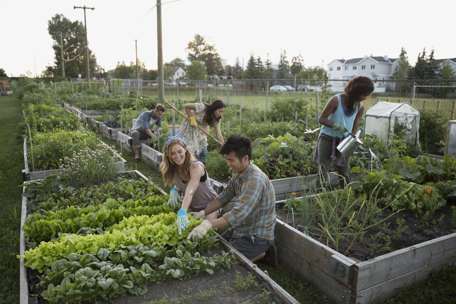 How To Prepare Soil For Gardening Gardening Ideas Fall