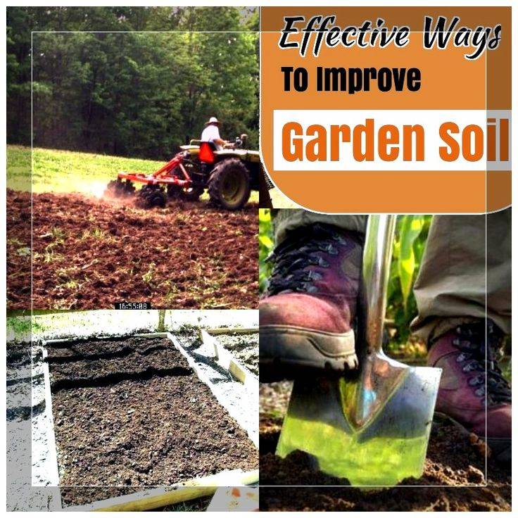 Garden Soil Preparation