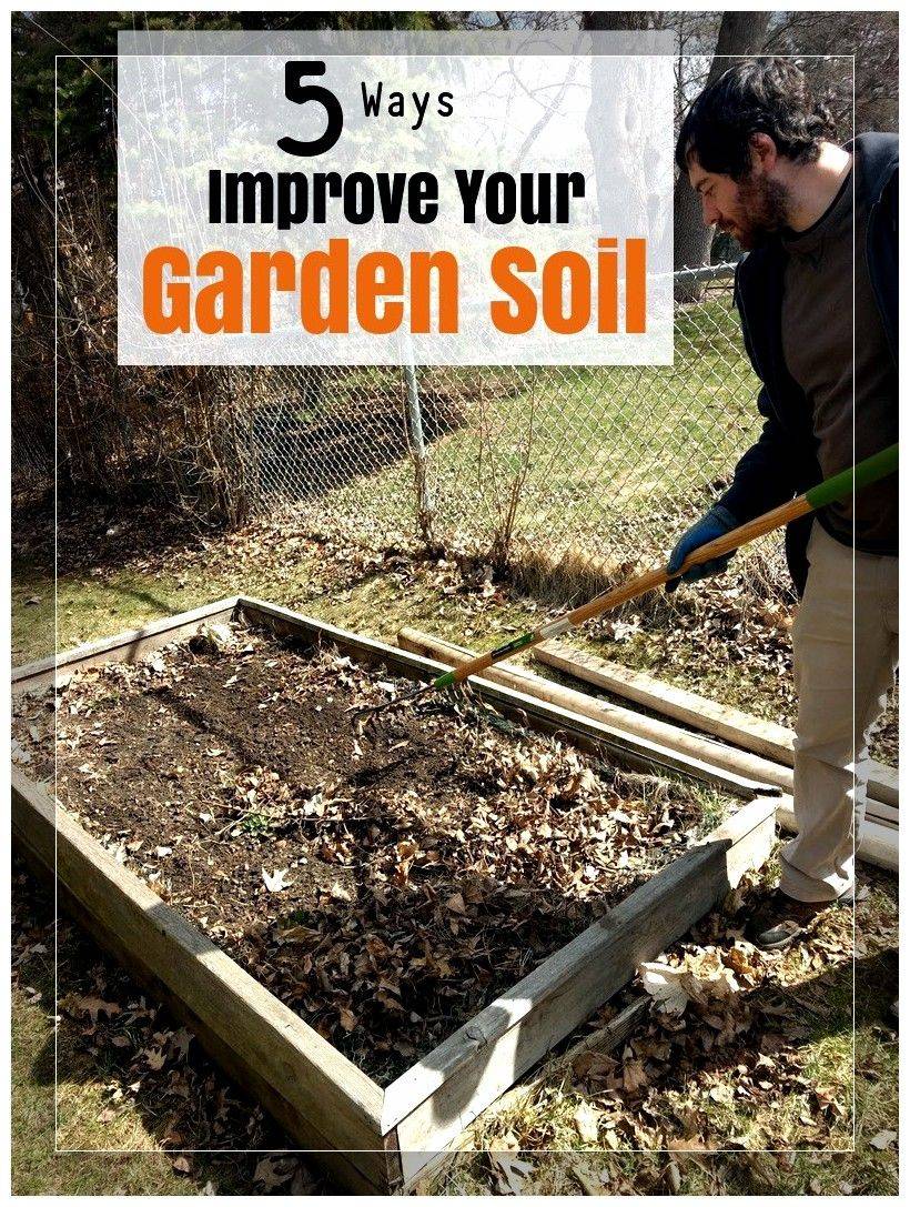Organic Gardening