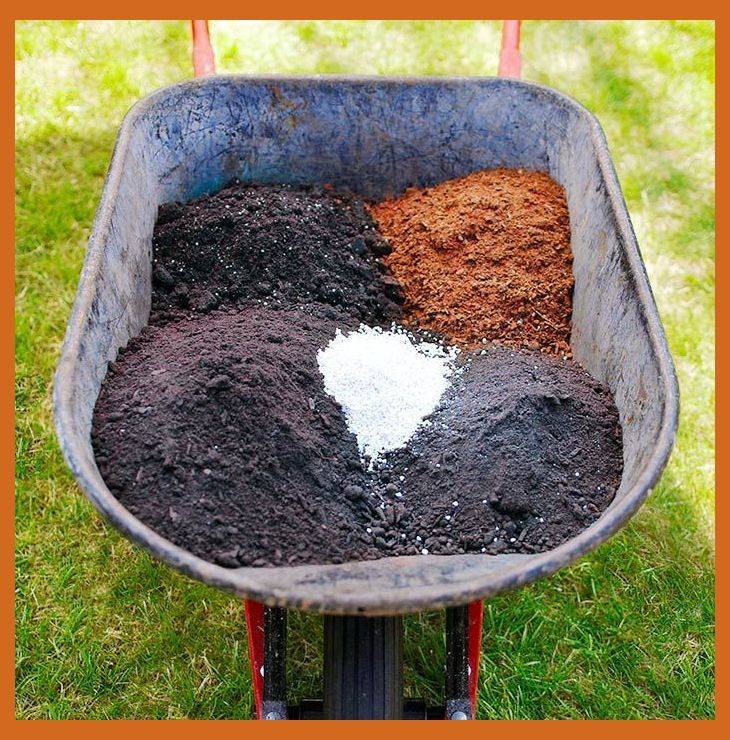 Organic Gardening