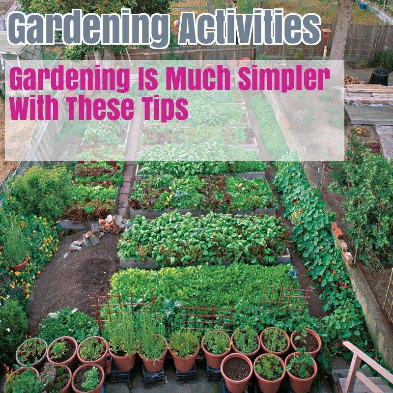 Insanely Clever Gardening Tips