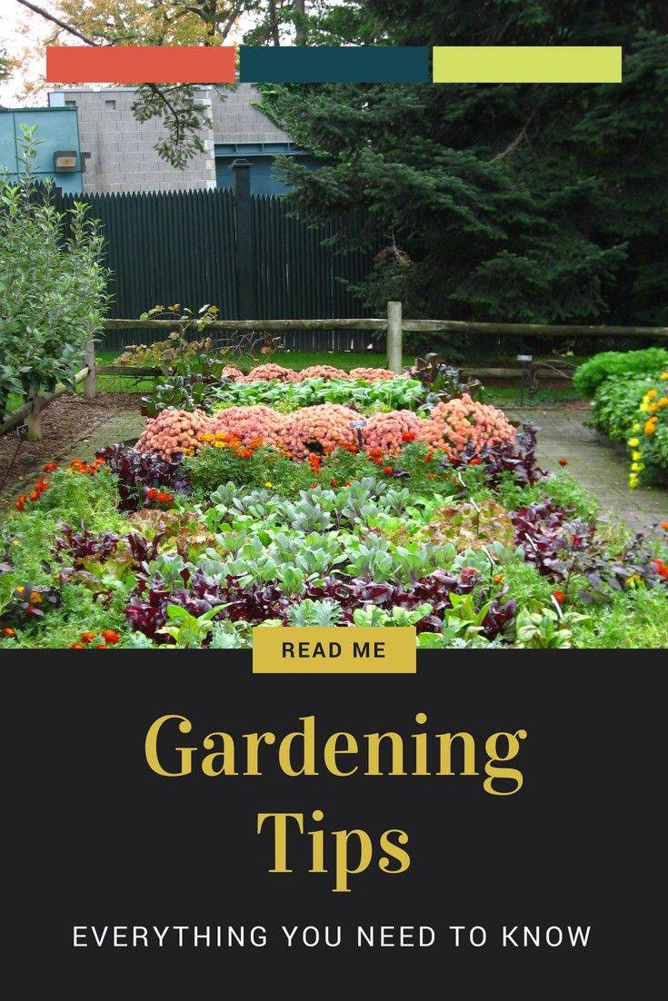 Planting A Beautiful Garden Home Deco