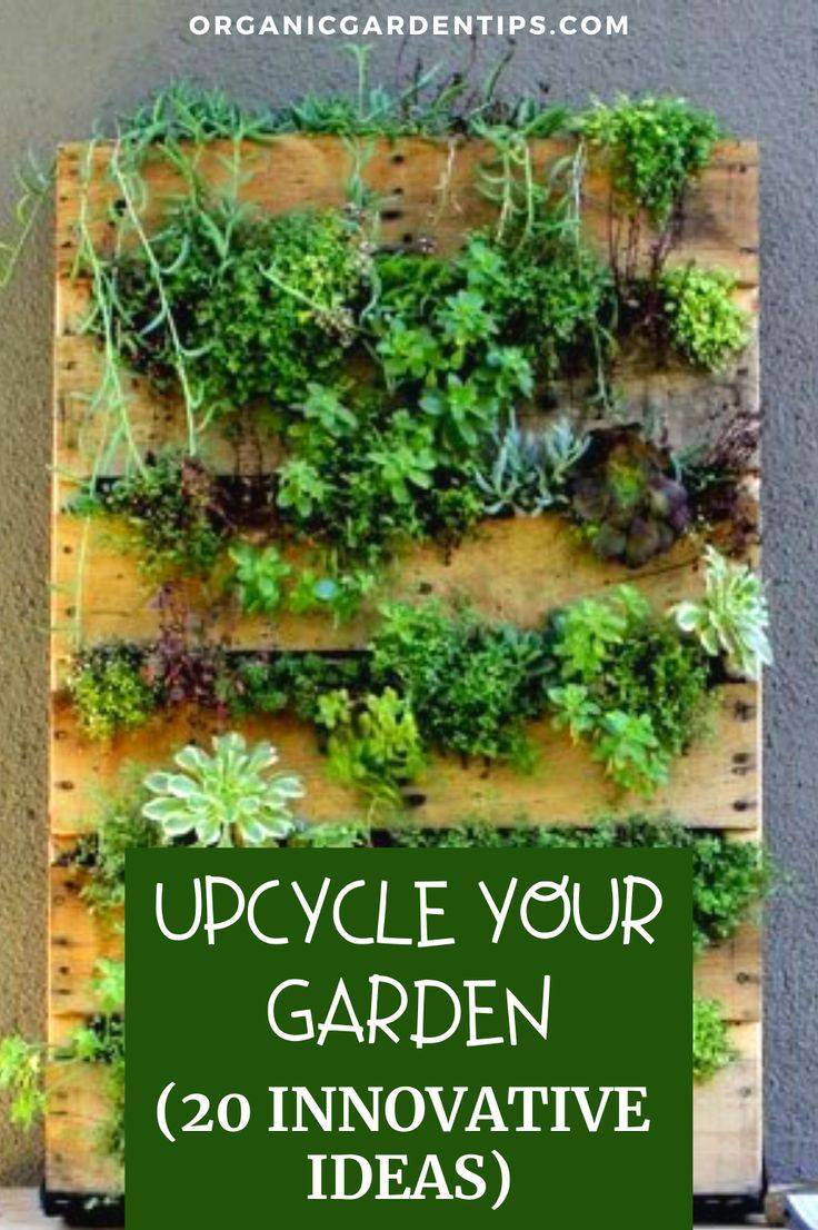 Gardening Tips