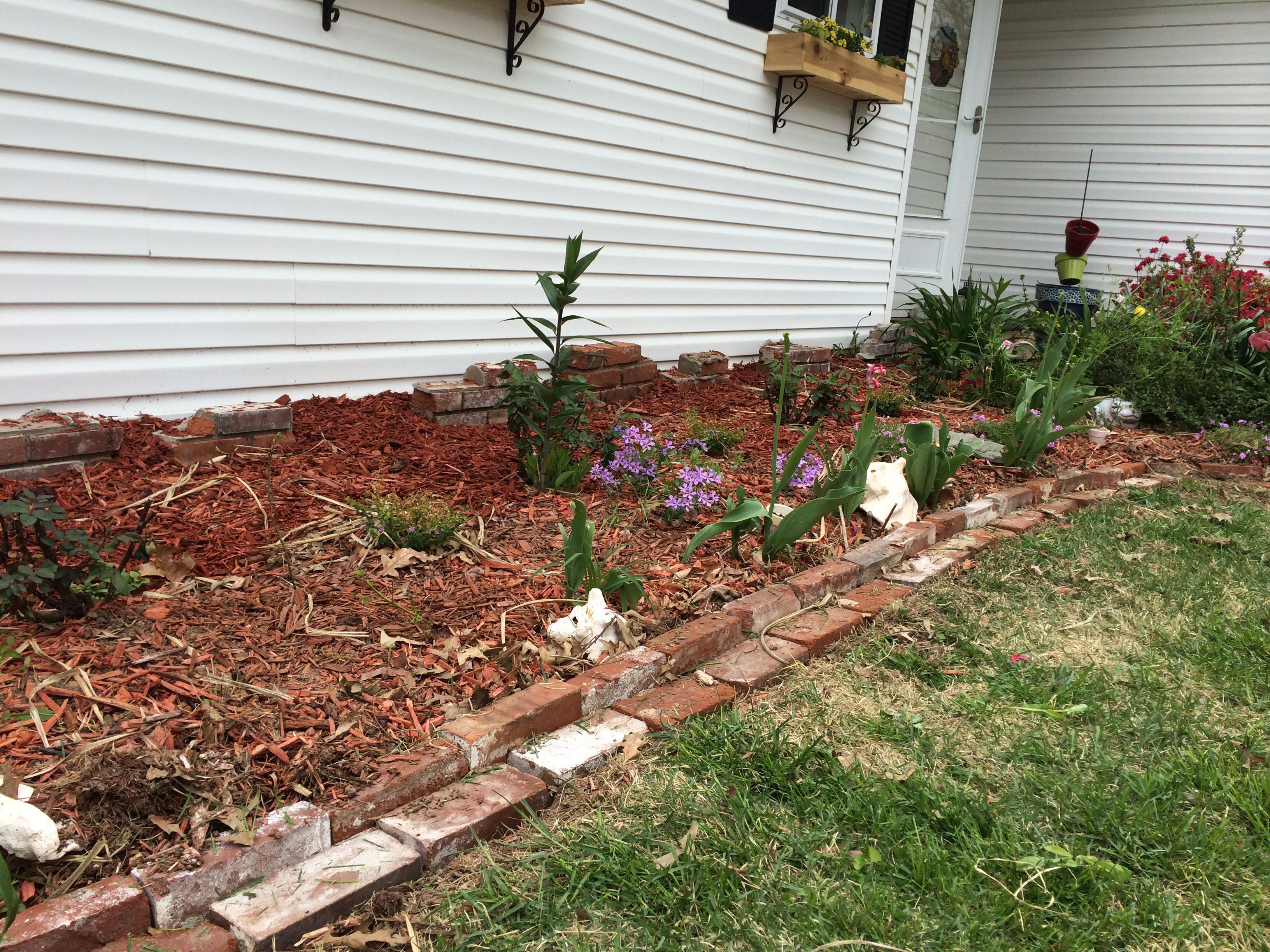 Your Garden