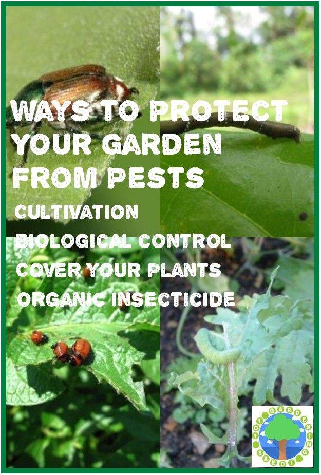 Your Property Gardening