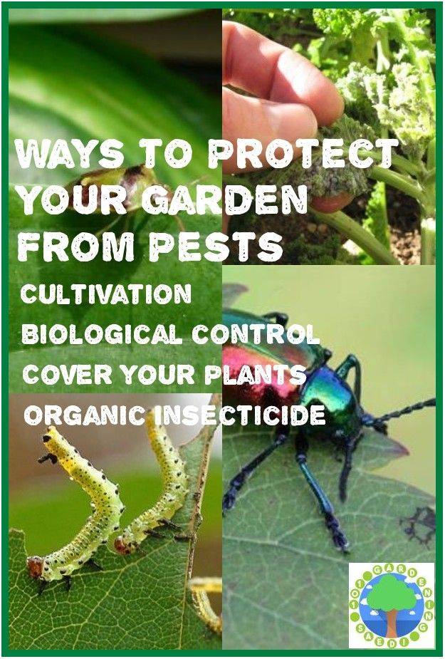 Safe And Effective Ways