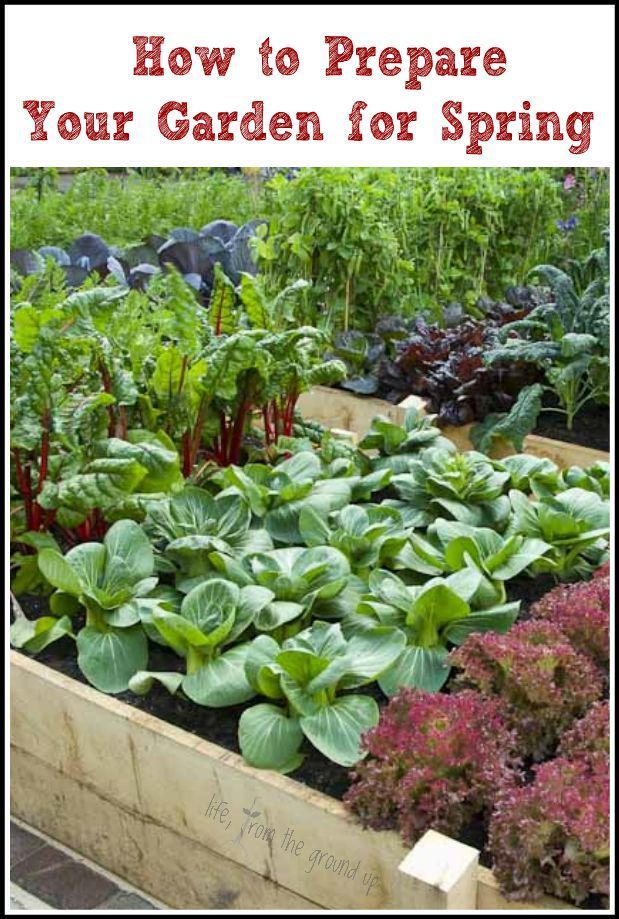 Most Beautiful Vegetable Gardens