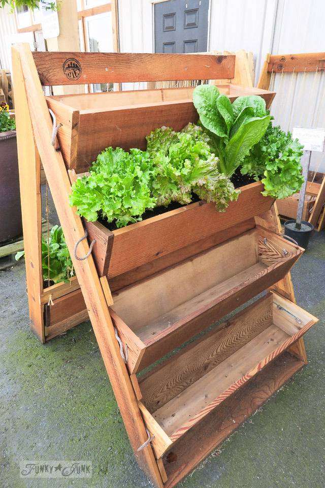 Favorite Garden Boxes Raised Design Ideas