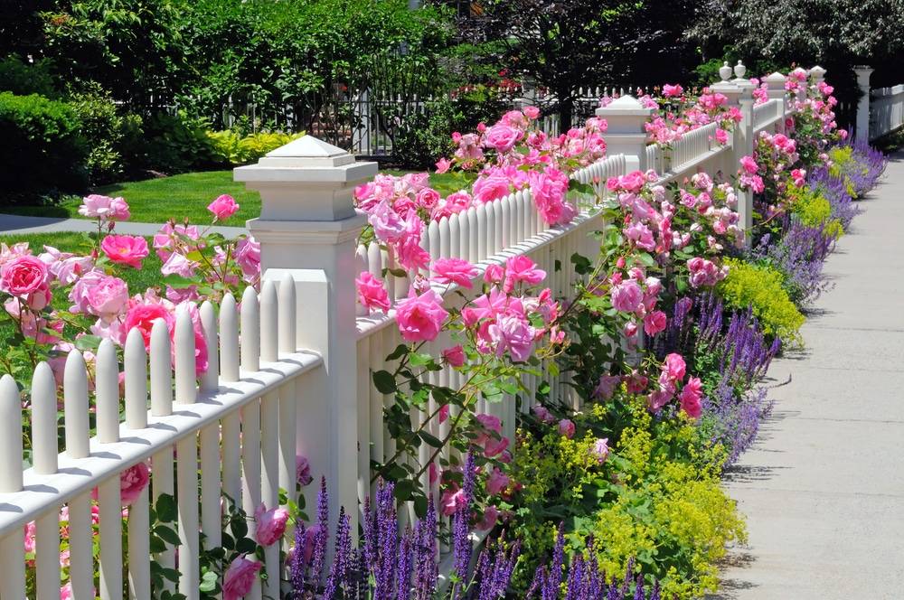 Amazing Budget Garden Fence Ideas Gardening Flowers