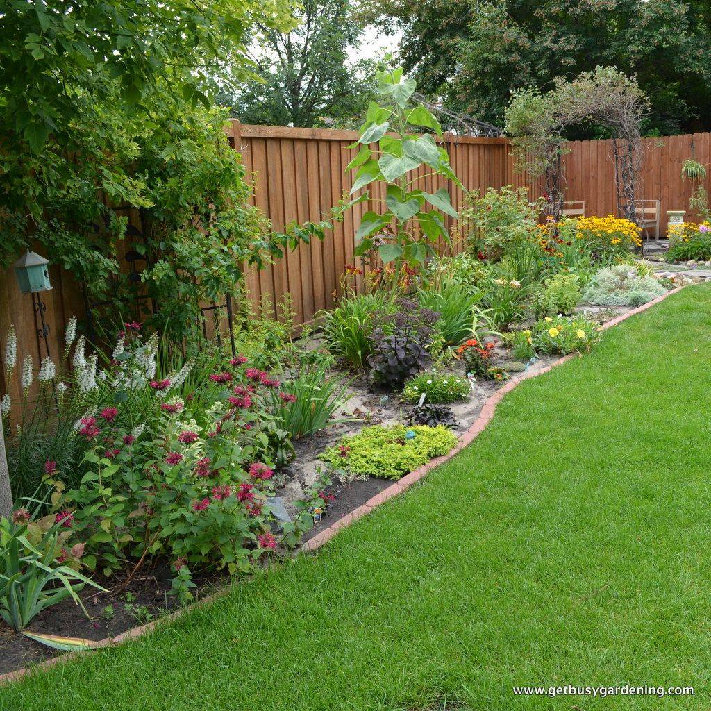 Fence Backyard Garden Layout