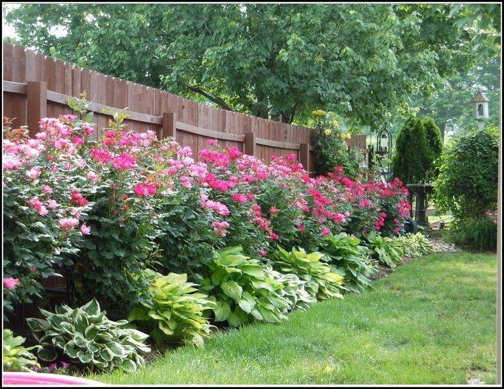 Amazing Gardens