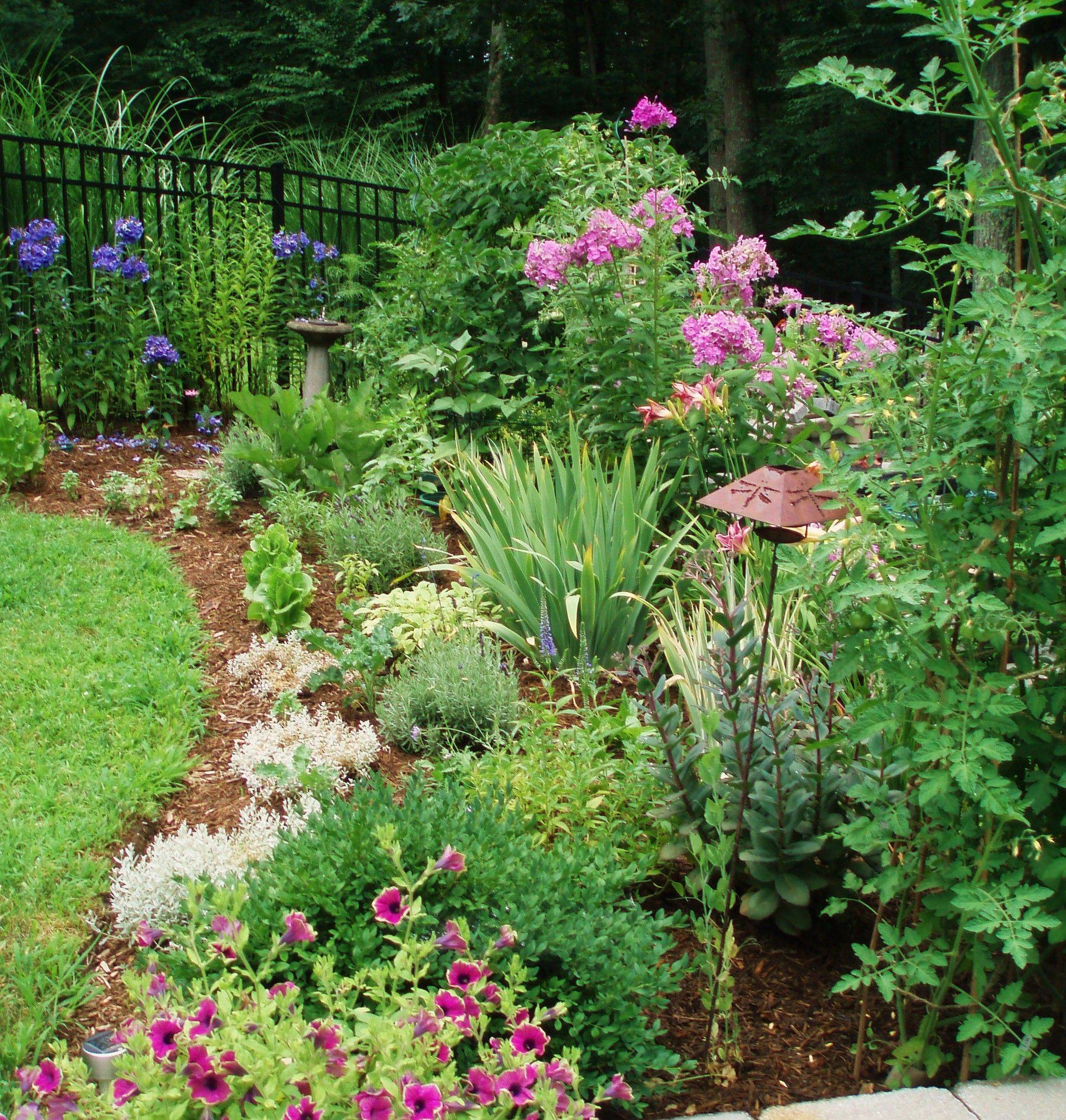 Rose Garden Ideas