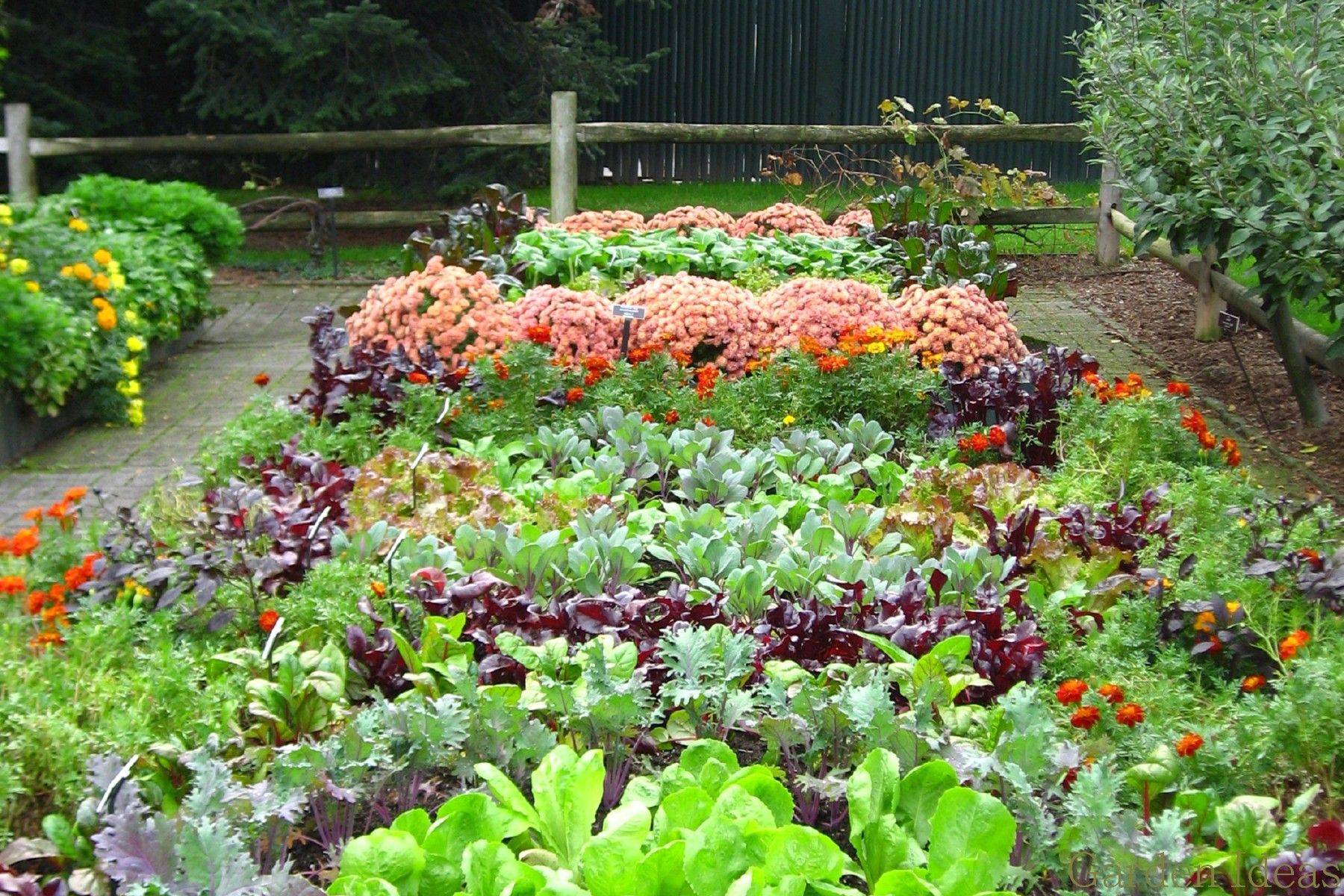 Mostly Foliage Containers