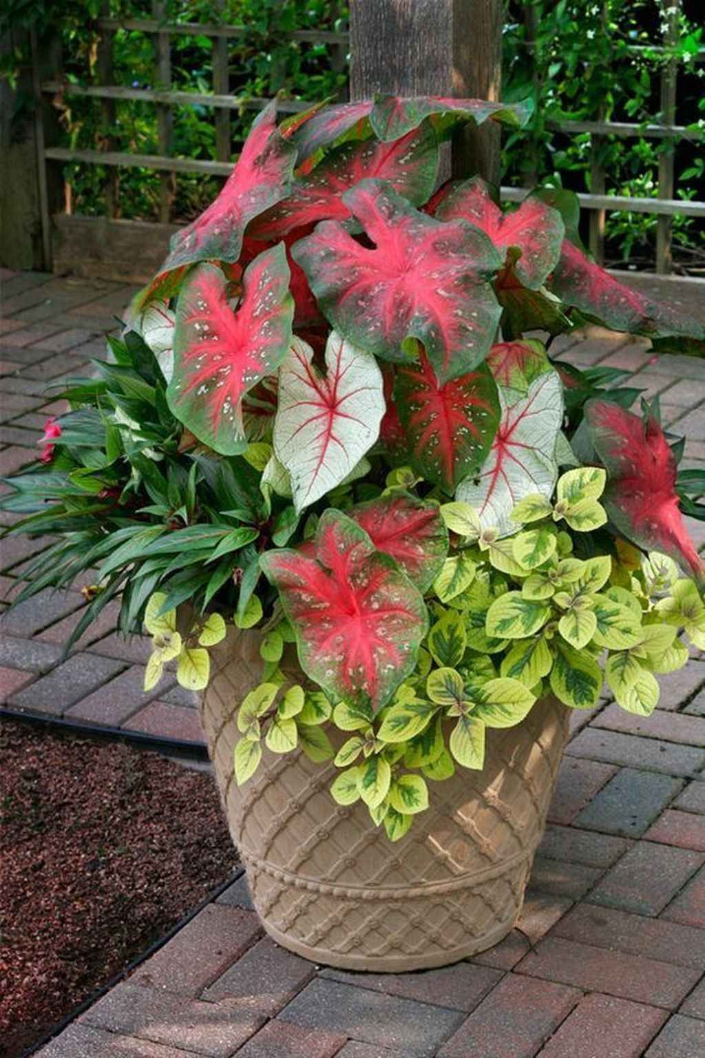 A Shady Landscape Shade Garden Design