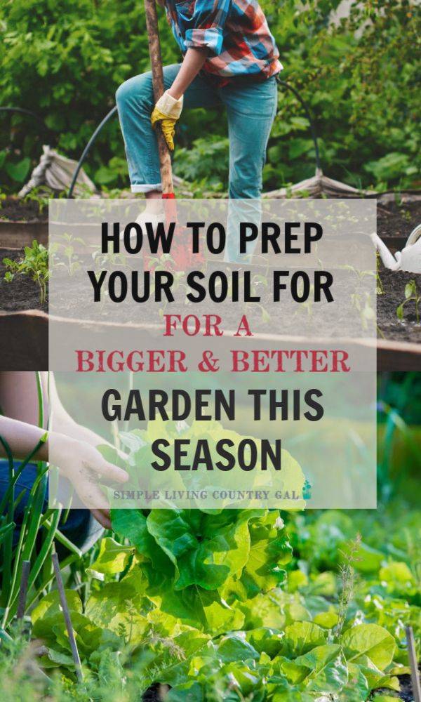 Your Garden Soil