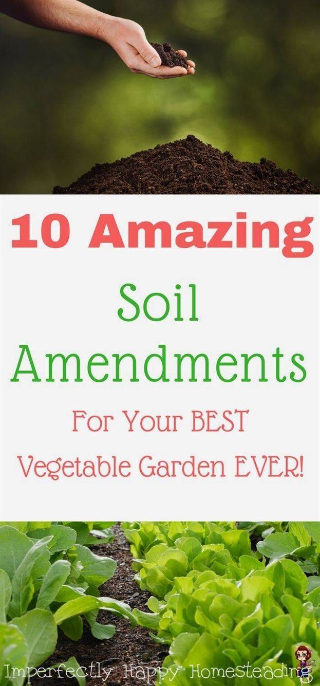 Garden Soil Definition Organic Gardening Tips