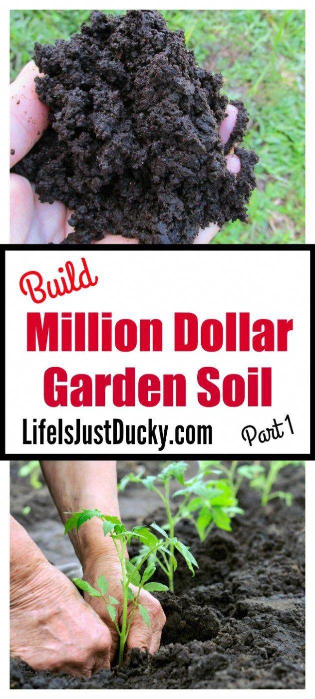 Your Vegetable Garden Soil