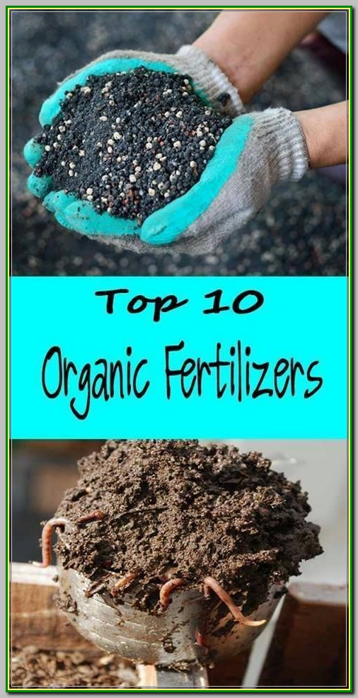 Million Dollar Vegetable Garden Soil
