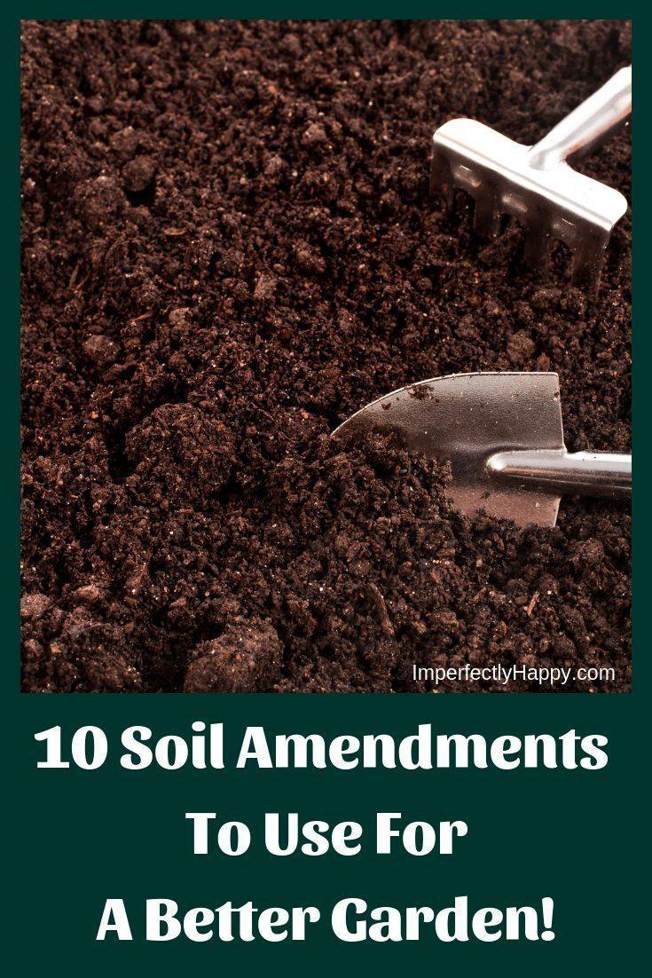 My Best Soil Care Tips