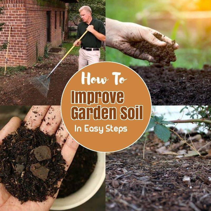 21 Organic Garden Soil Ideas Worth a Look SharonSable