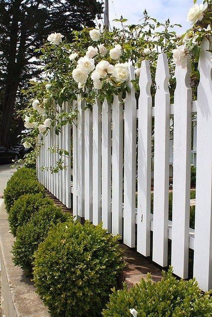 White Picket Fence Garden Ideas
