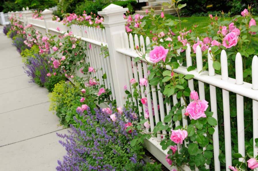 White Picket Fence Garden Gate