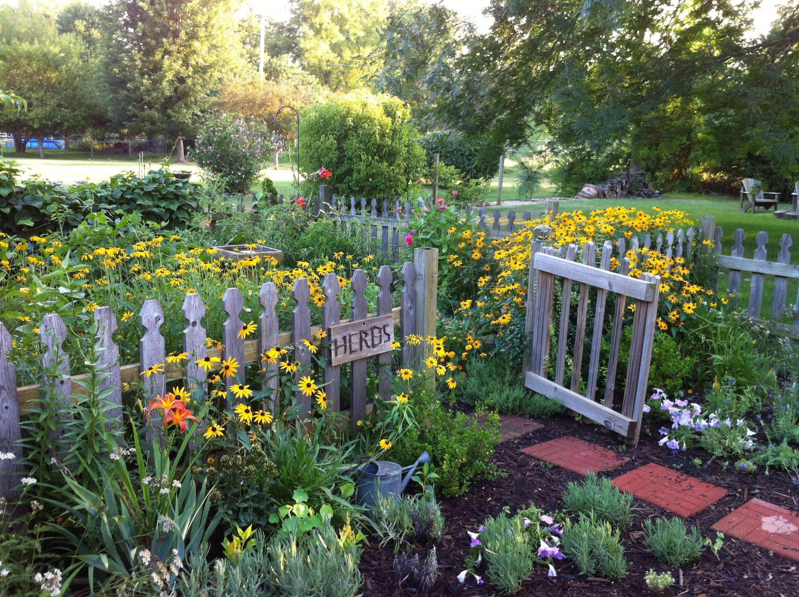 Cottage Garden Plants