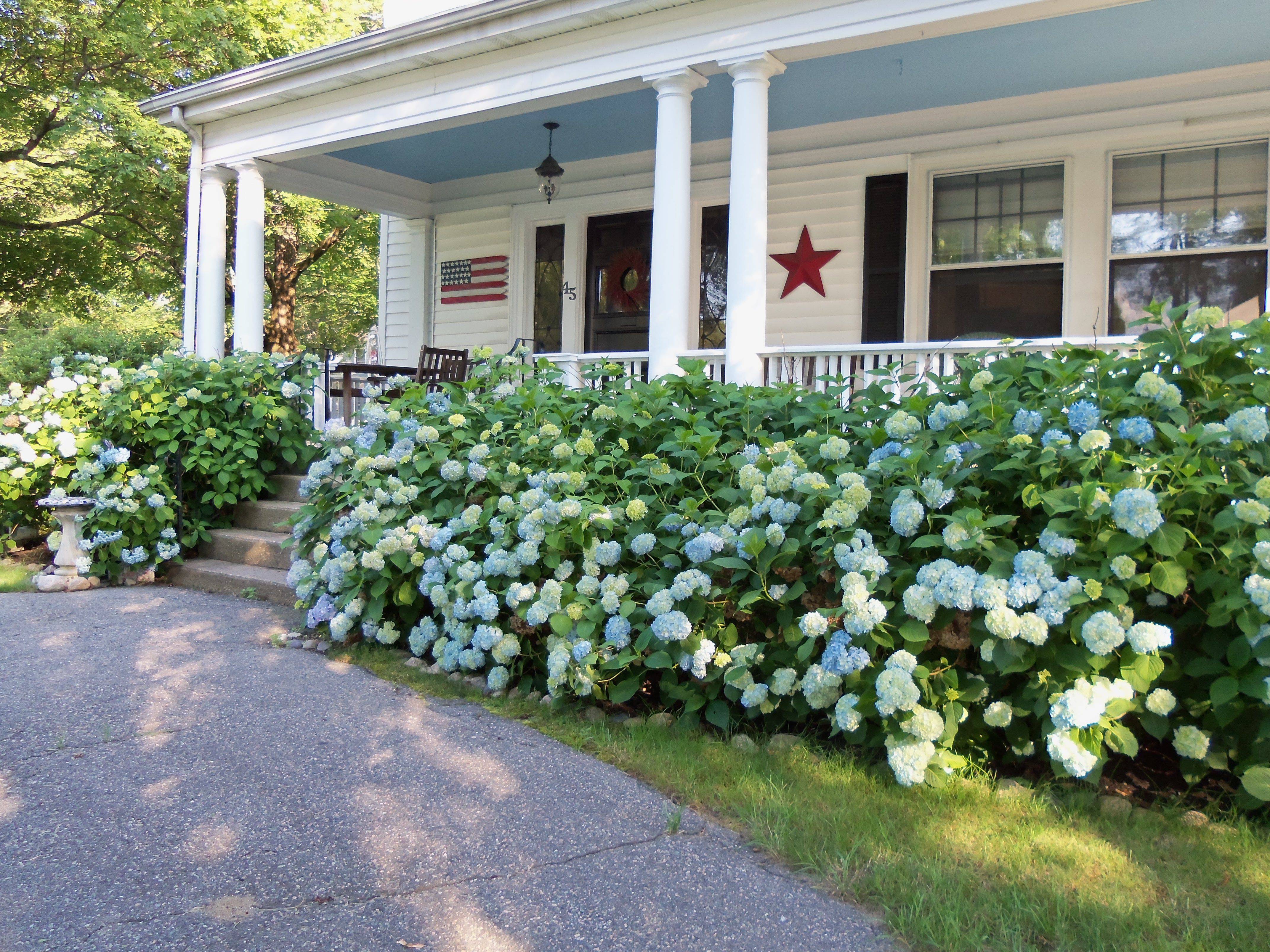 Sweet Cottage Entry Garden Archway