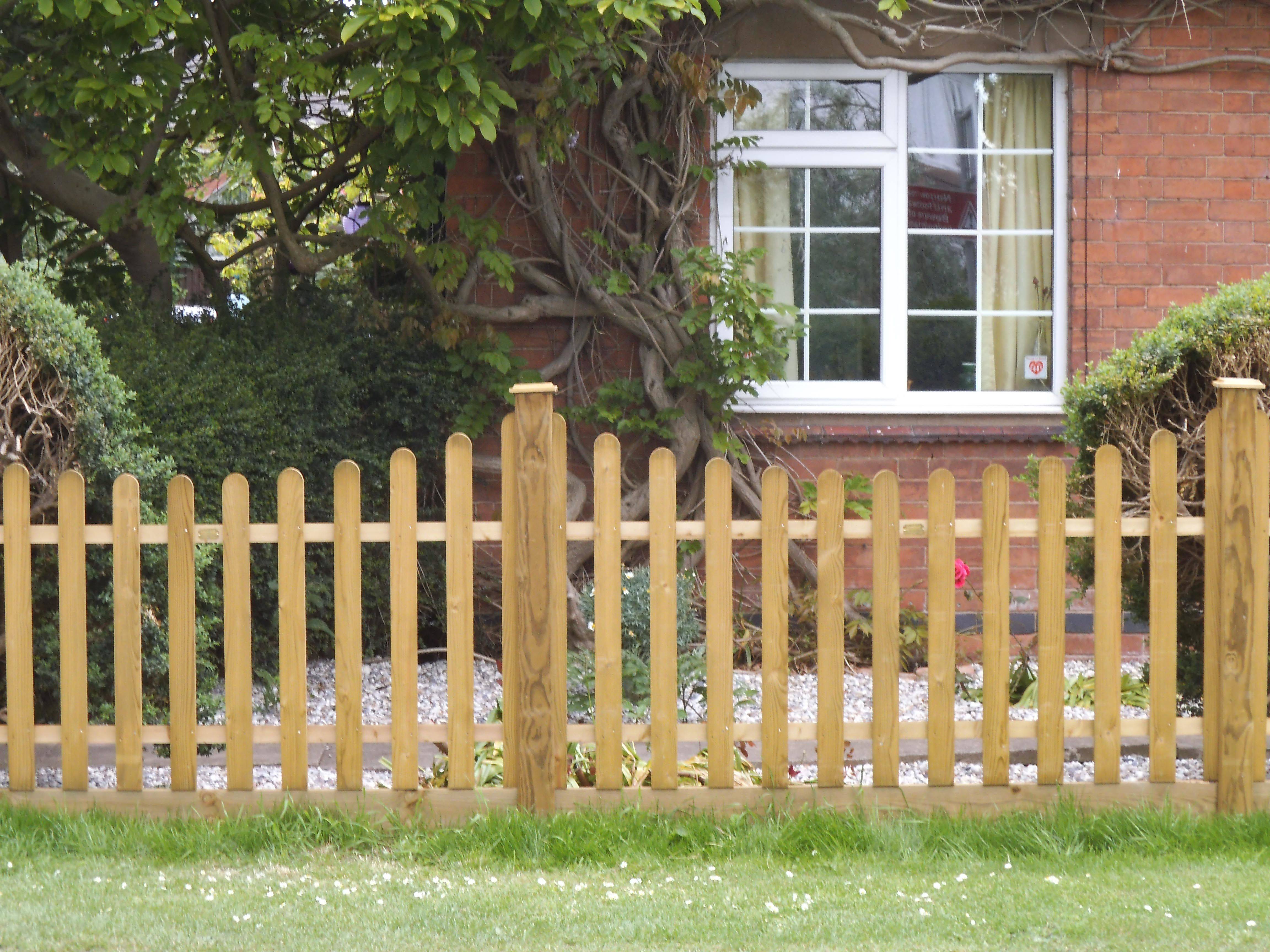 Simple Backyard Privacy Fence Design Ideas