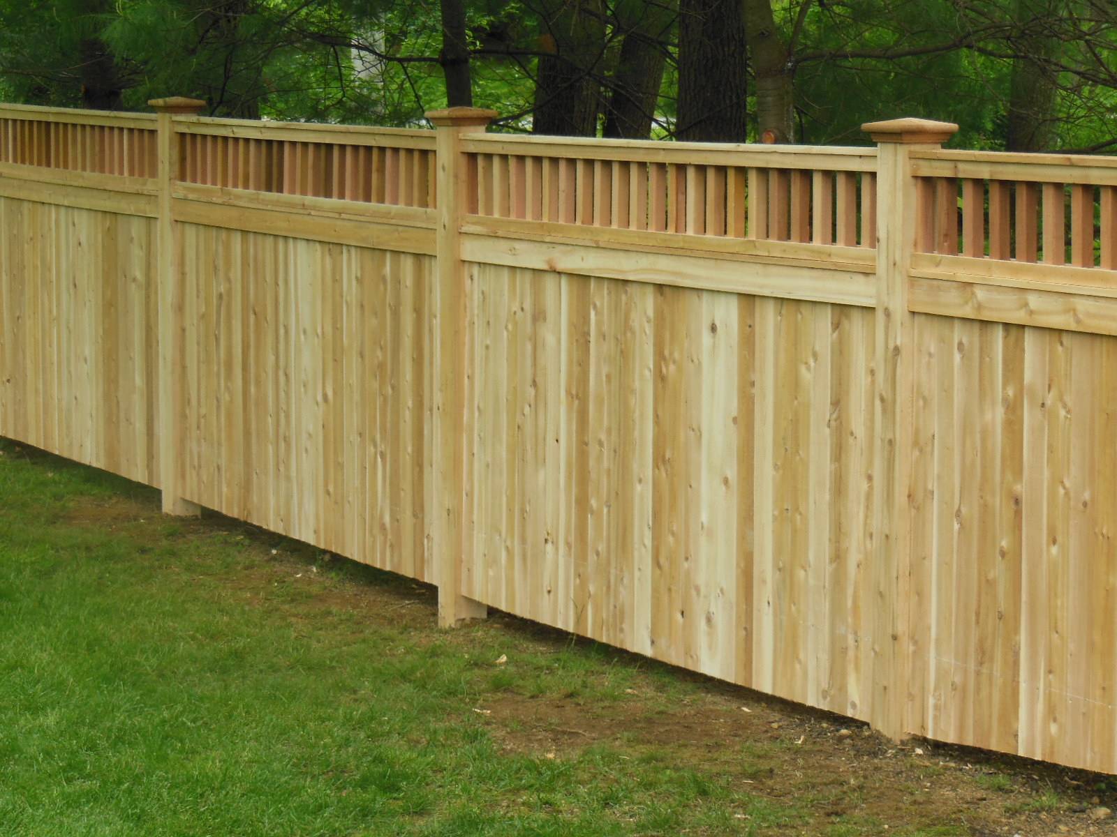 Simple Backyard Privacy Fence Design Ideas