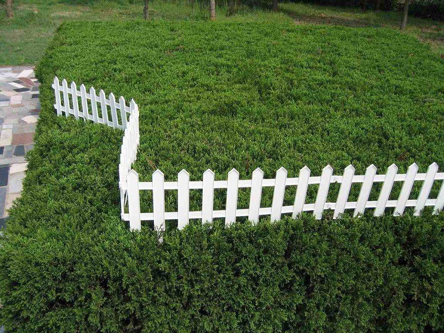 White Picket Fence Garden Border Pack