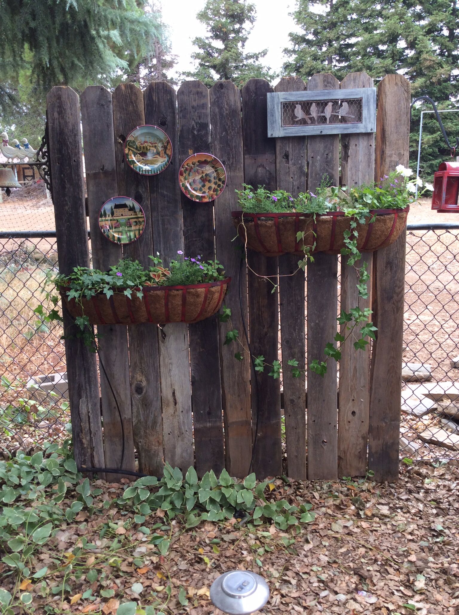 Gardening Ideas