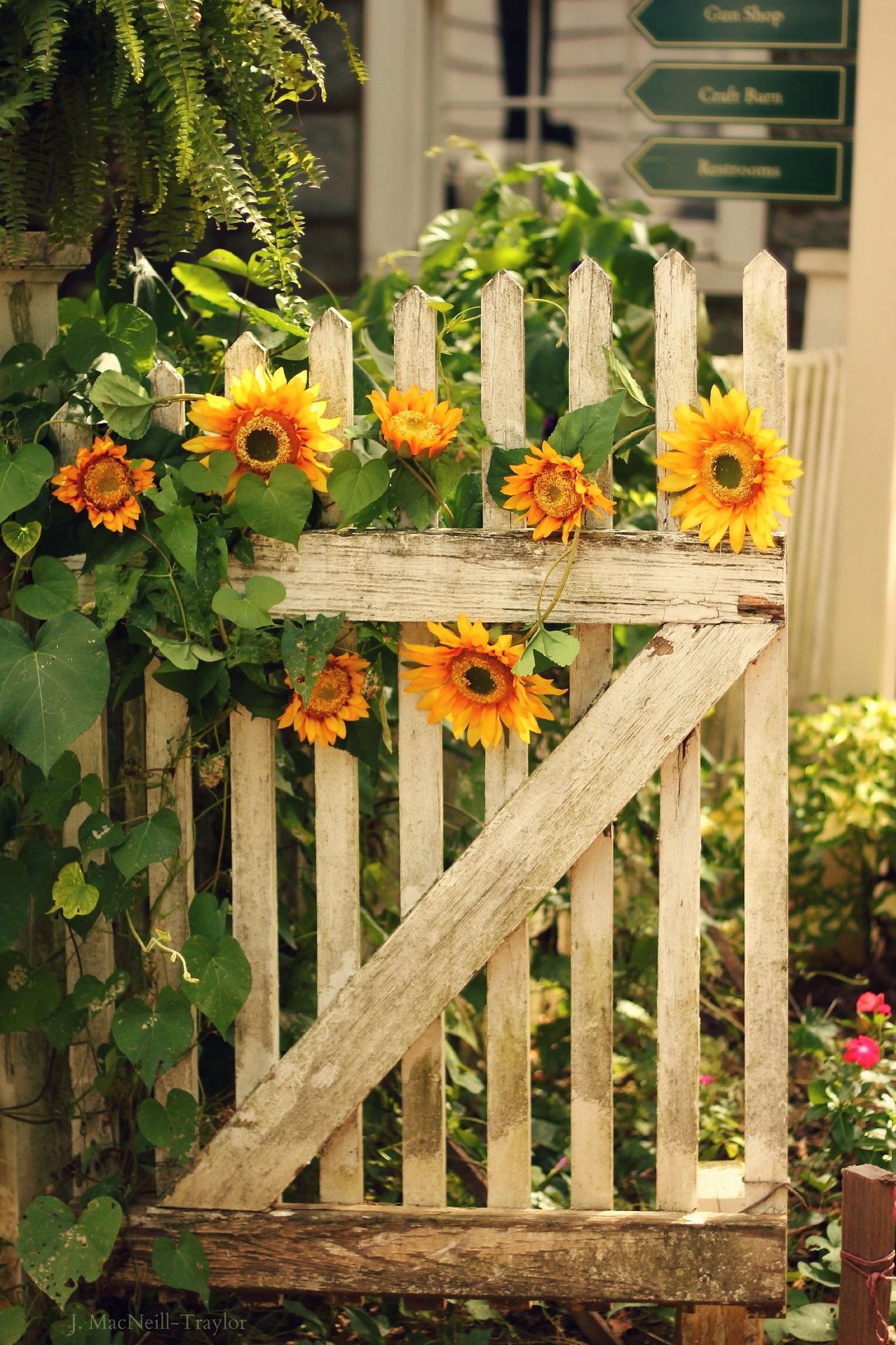 Vintage Fence Garden Fencing