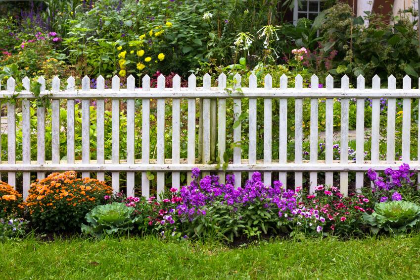 Patio Backyard Flower Fence Ideas