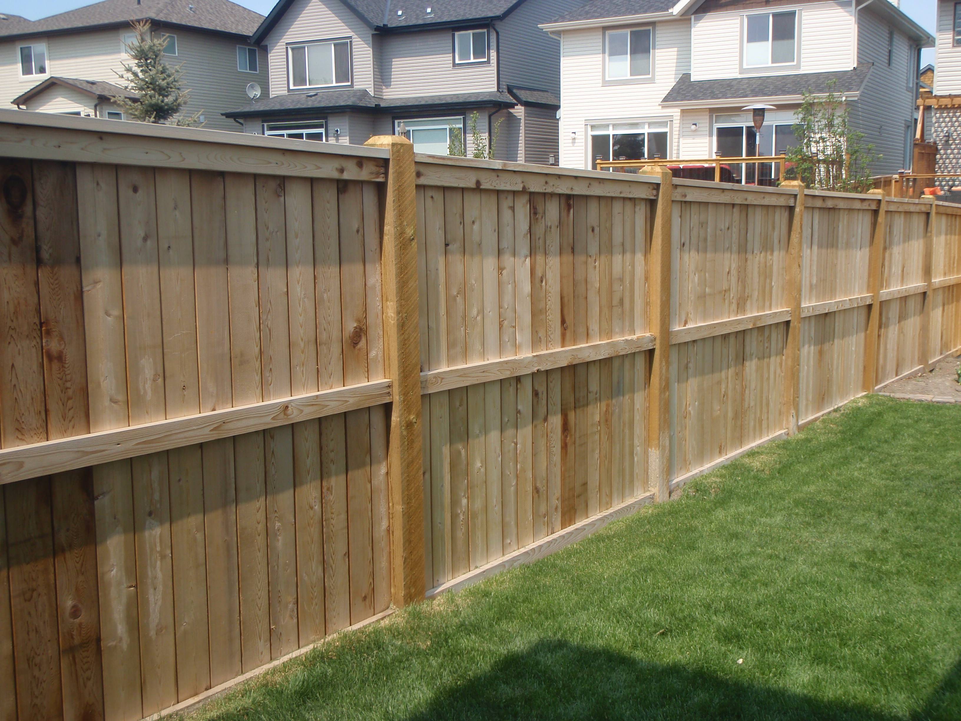 Simple Backyard Privacy Fence Design Ideas