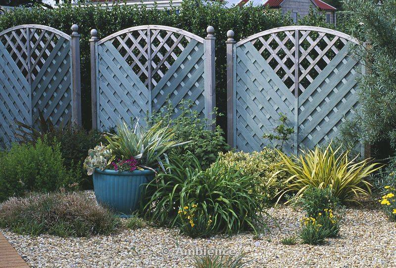 Backyard Garden Design
