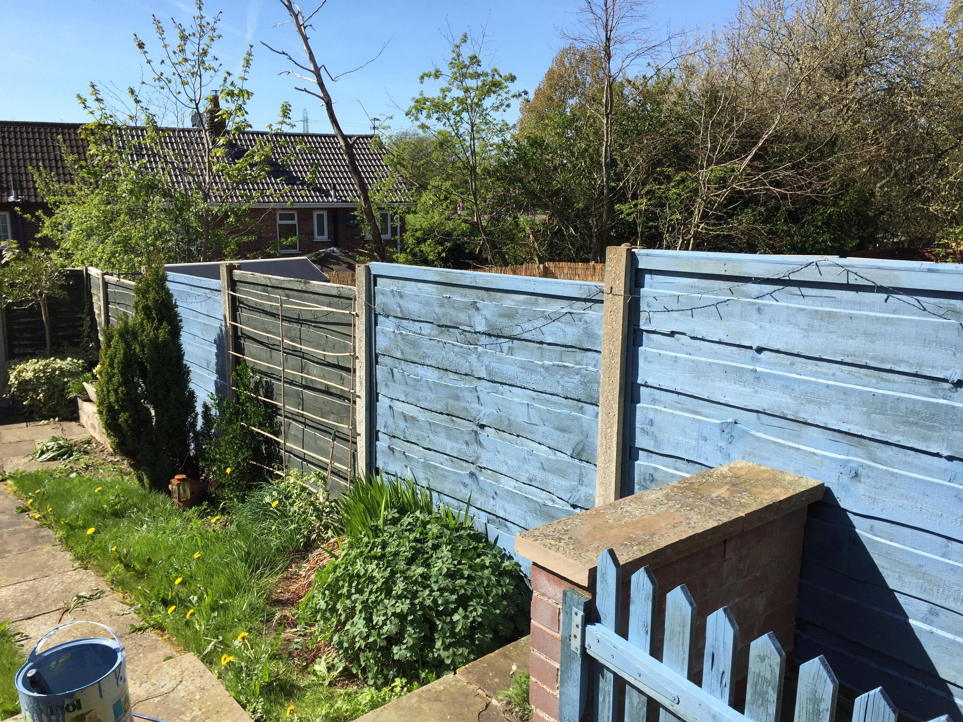 20 Blue Garden Fence Ideas For This Year SharonSable