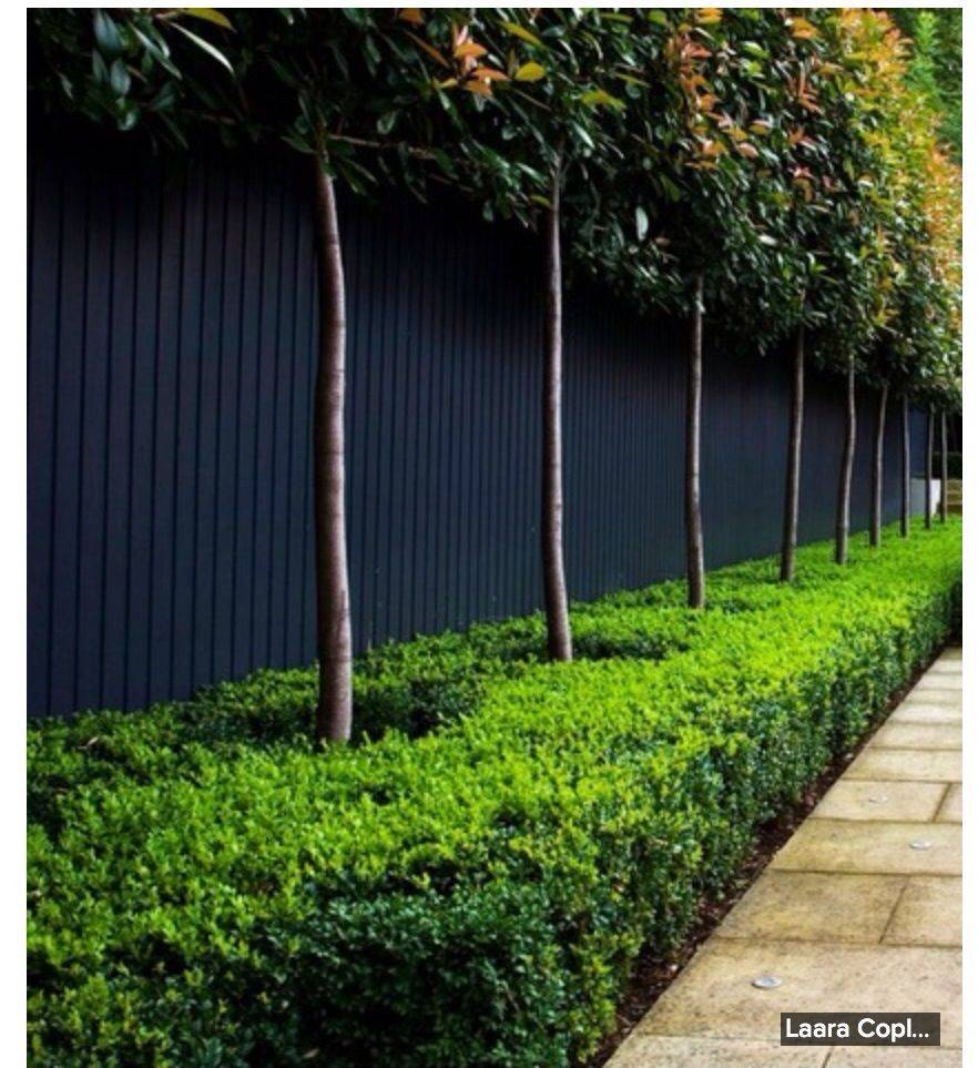 20 Blue Garden Fence Ideas For This Year SharonSable
