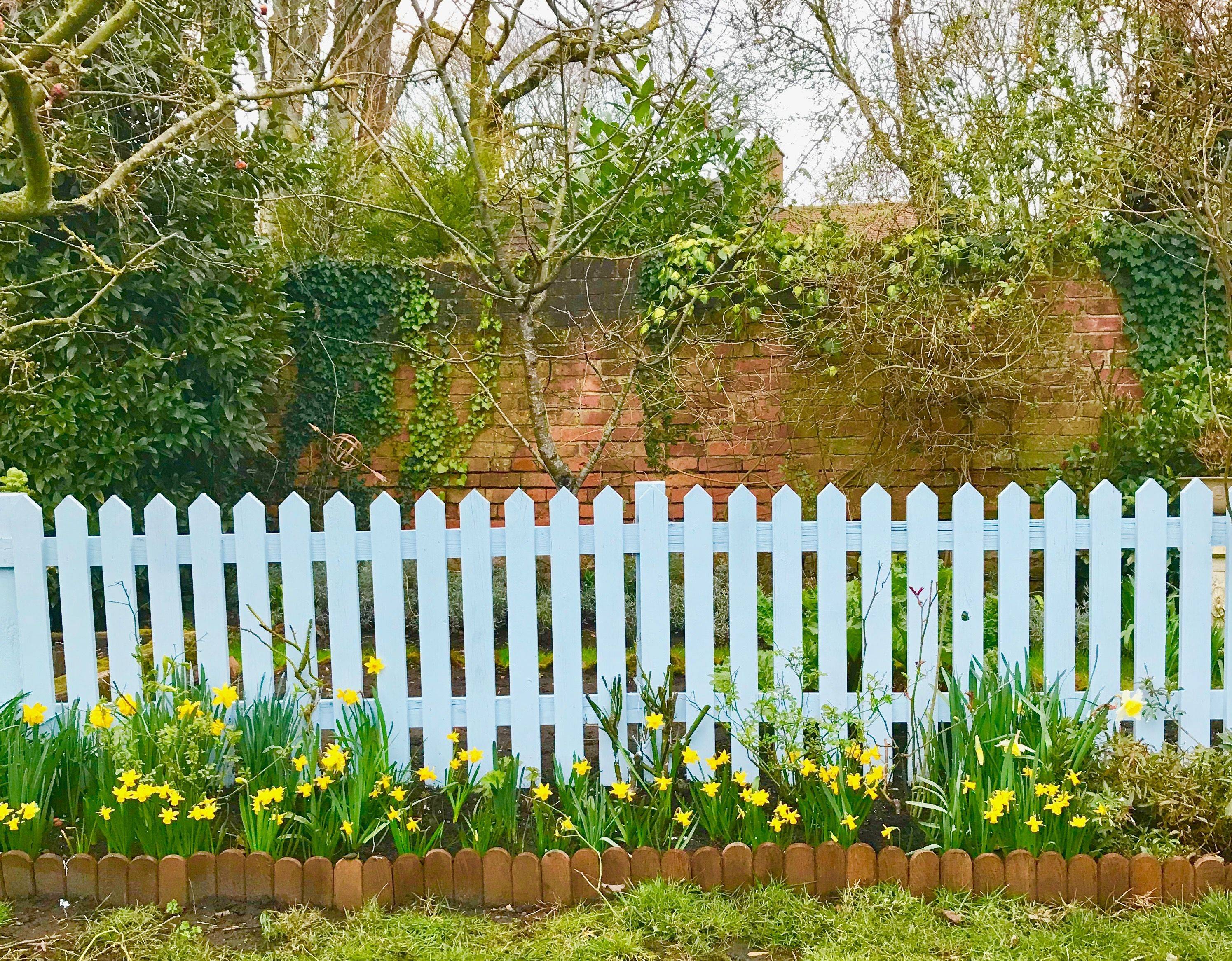 Garden Landscape Design