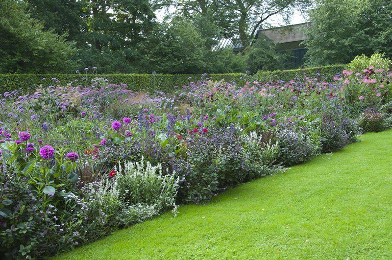 These Mixed Shrub Border Design House Plans