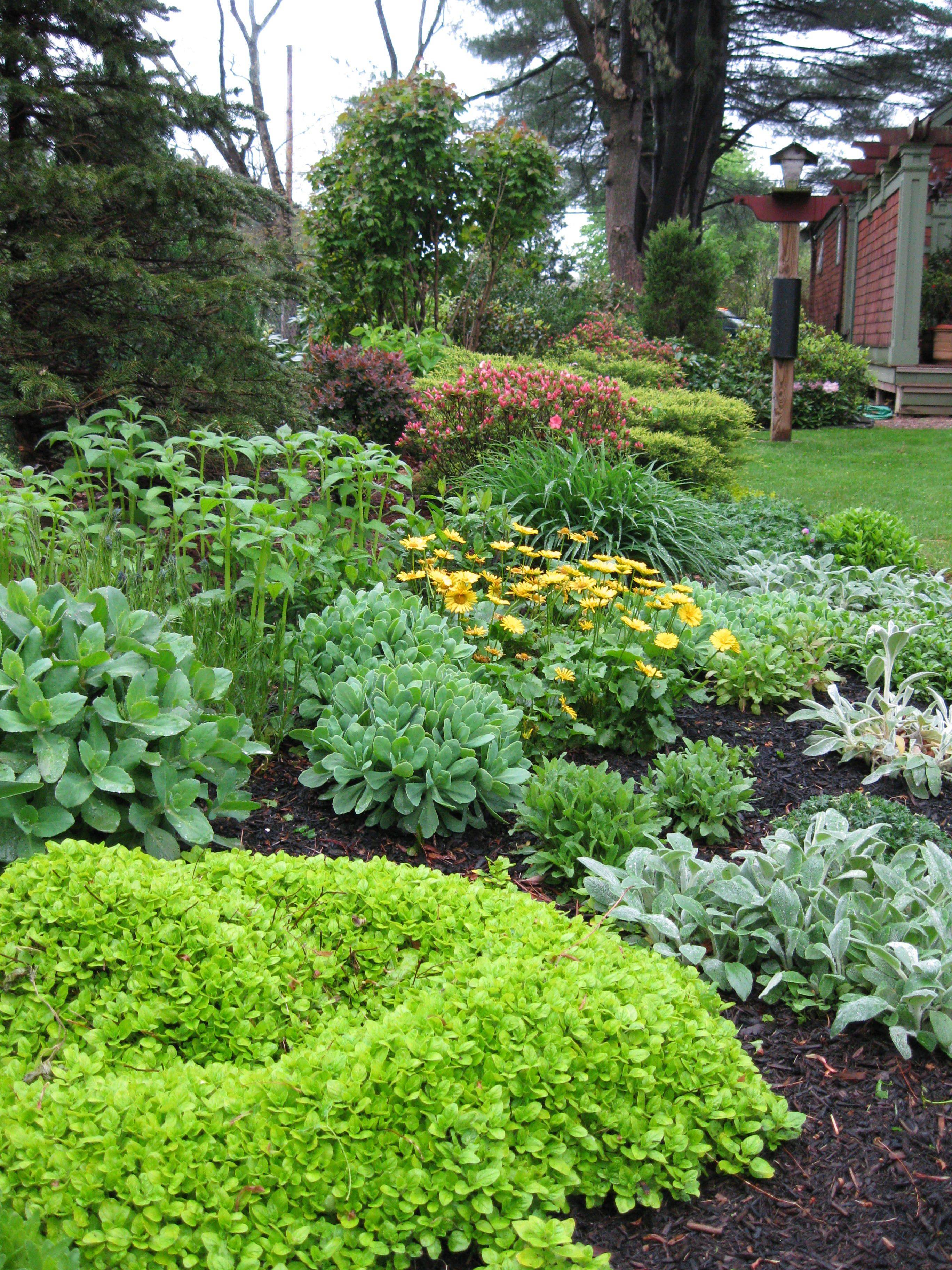 A Backyard Paradise