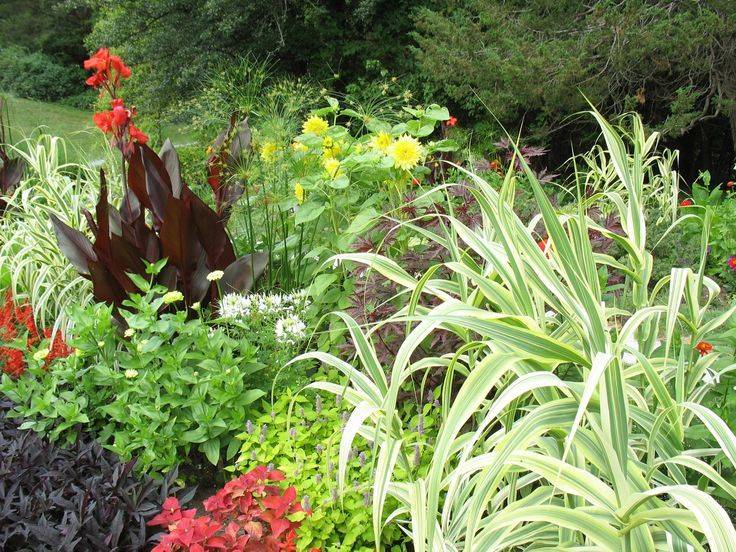 The Impatient Gardener